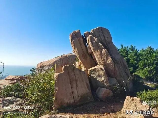浮山漫记：藏在青岛城央的自然诗篇｜申艳娟