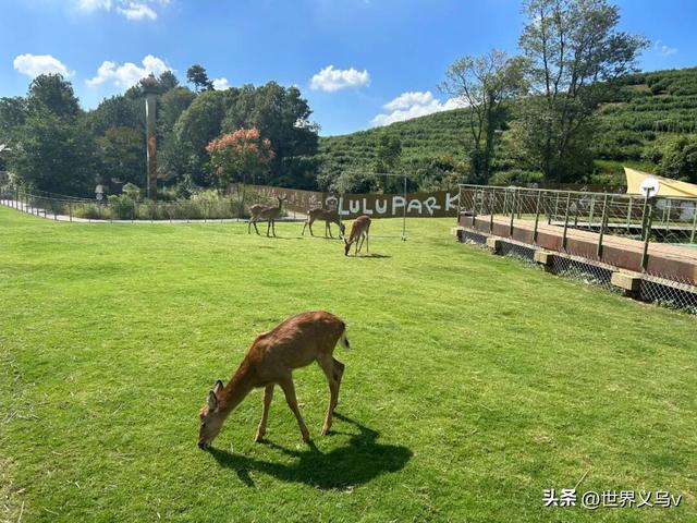 特别关注丨金华市科普作协开展全国科普月金华山科普创作采风活动