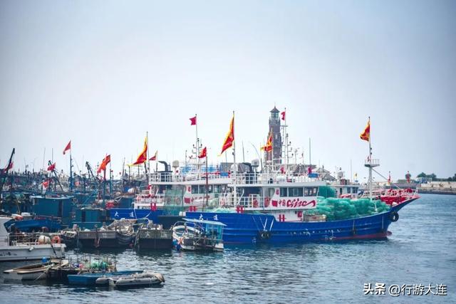 逃离“浪浪山”？下一站，大连！