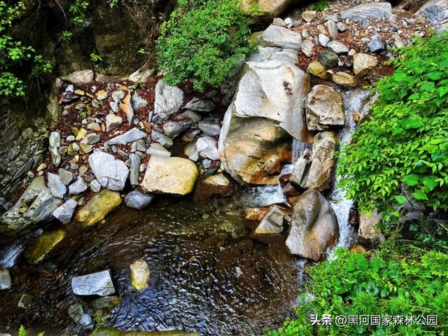 秋意漫染黑河，清风轻吟，邂逅一场如诗的秋日美景