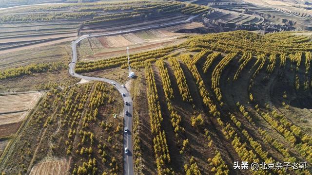 北京周末自驾新选择！全家重阳出游人少景美