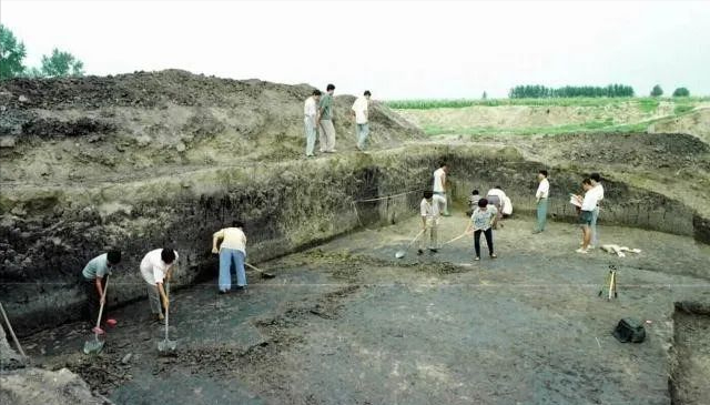 保定徐水砖厂工人在地里挖土，不料，一锹挖出万年前的“农家乐”