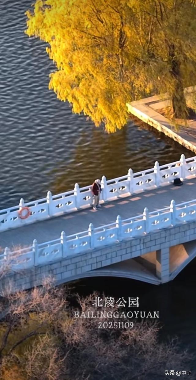 沈阳人私藏！北陵公园才是冬日天花板！