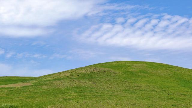 探访京北“尚义”：草原上的风车王国，夏季仅14℃的避暑仙境！