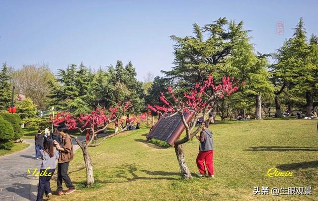 影记 | 春色春景之青州范公亭(上)