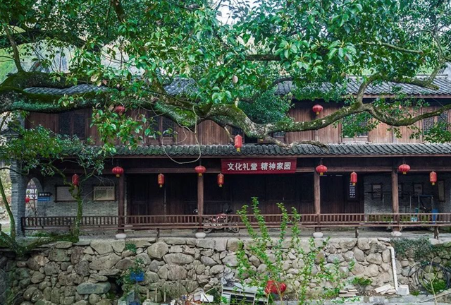 探村浙江台州 | 大泛古村，一个坐拥千亩梯田的石头风光村落