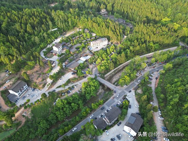 四川行(68)古蜀道——金牛道60公里徒步⑤普安到翠云廊沿途航拍
