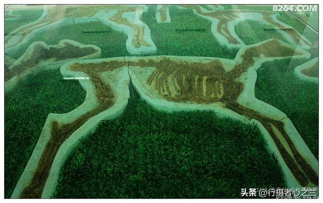 山东行游影记（28）—平邑天宇自然博物馆（三）
