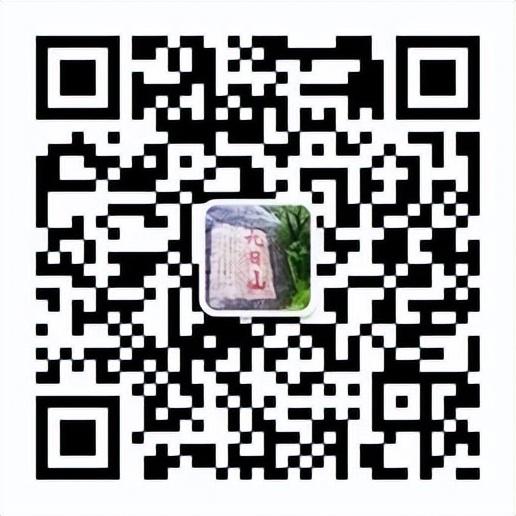 9月1日，丰州古城“小白”专线来啦！