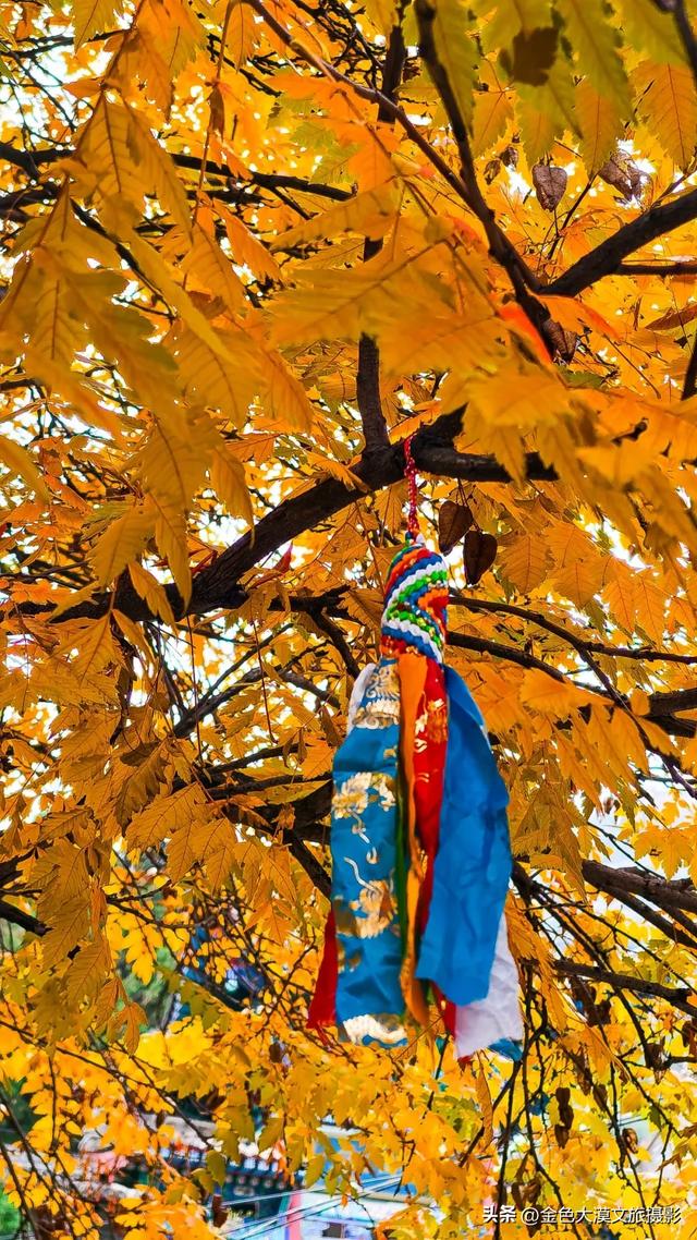 秋染五泉山：兰州城畔的千年诗意与一季斑斓​​