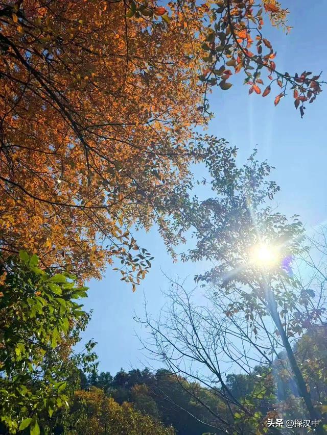 不等了！这个秋天，我就要去草川子~