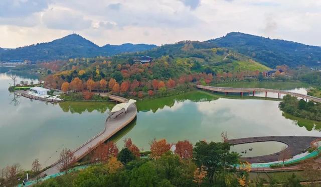 值此红黄，新蒲初冬画卷已打开！