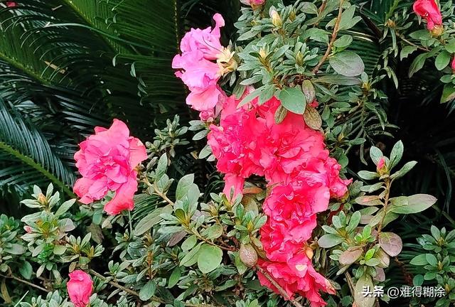 女人最大的遗憾，不是爱上渣男，不是没嫁首富，而是没成为自己。