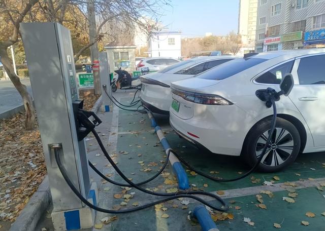 新疆11月27日资讯