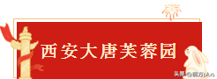 手慢无！来西安必看预约指南！
