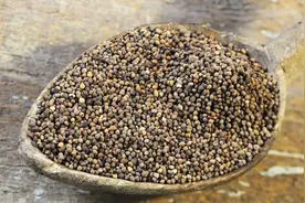 老花眼、近视眼、白内障、飞蚊症，眼前一亮的古方，只有三味药！图片