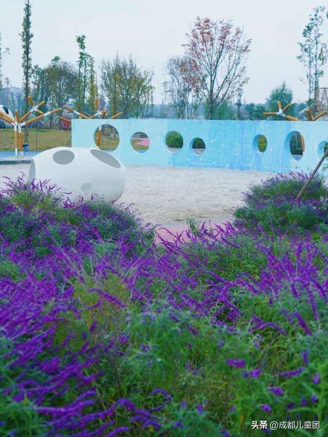 成都公园地图丨晒太阳不打挤的20个公园,东南西北全覆盖