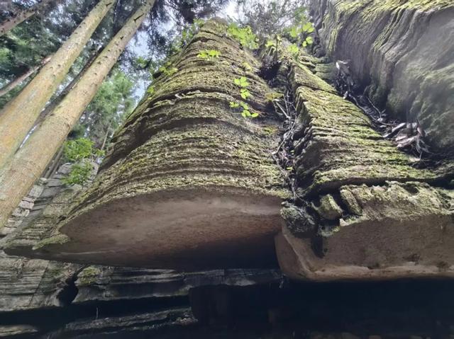 恩施旅游怎么走？单看我这篇就足够