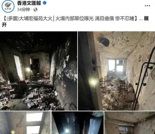 一场香港大火，让大家看清了38岁刘亦菲的"真面目"，赵立坚说对了