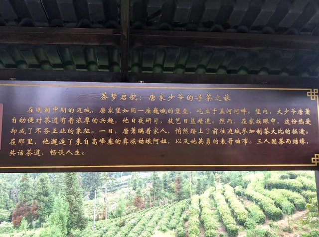 你知道吗？乐山马边的茶园里藏着一本武侠小说！