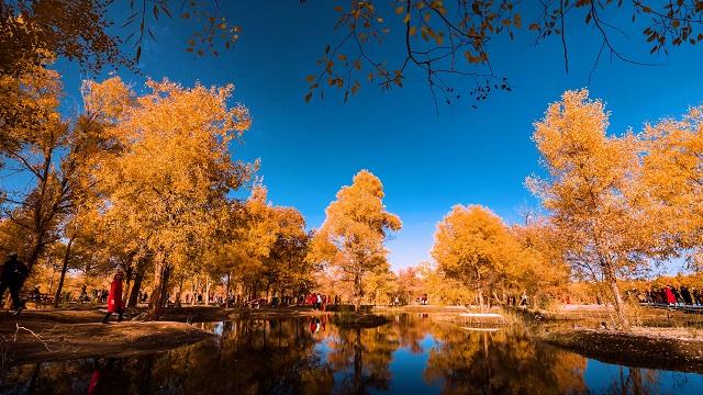 重阳佳节 秋韵陇原｜来甘肃赴一场跨越千年的山水人文之约～