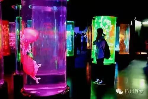 香港海洋公园