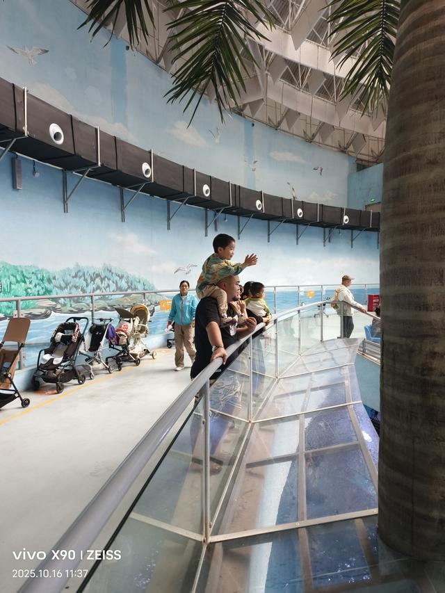 成都 极地海洋公园（58）2025年10月16日