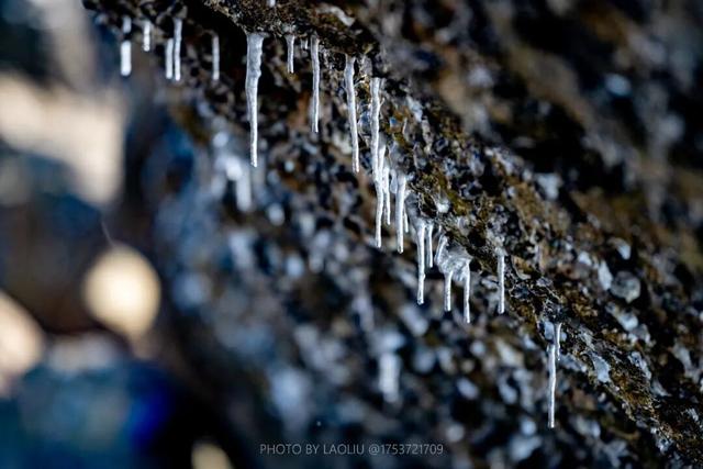 很多人没见过！在日照海边绵延数公里……