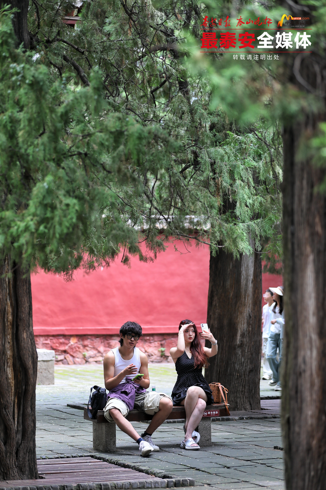 青绿泰山 清凉一夏丨树木成荫自带降温buff，岱庙秒变城区天然“空调房”
