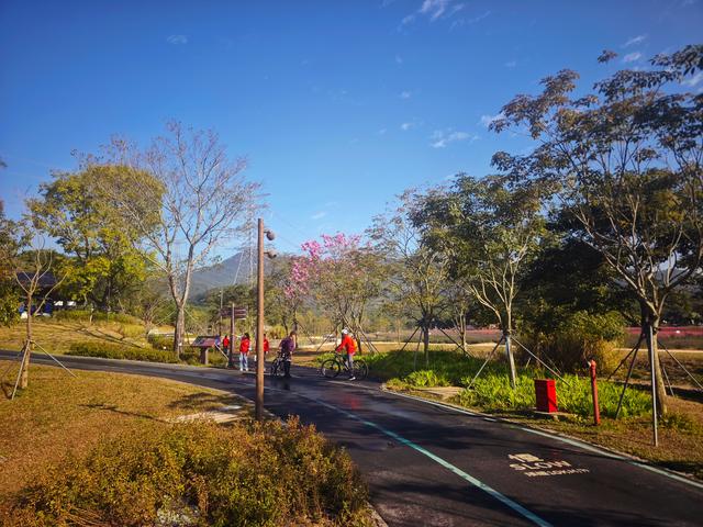 从丽康路穿荔园溪谷至西丽湖绿道骑行随拍