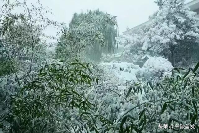 冬享沂蒙过大年｜雪落沂蒙，山河藏暖