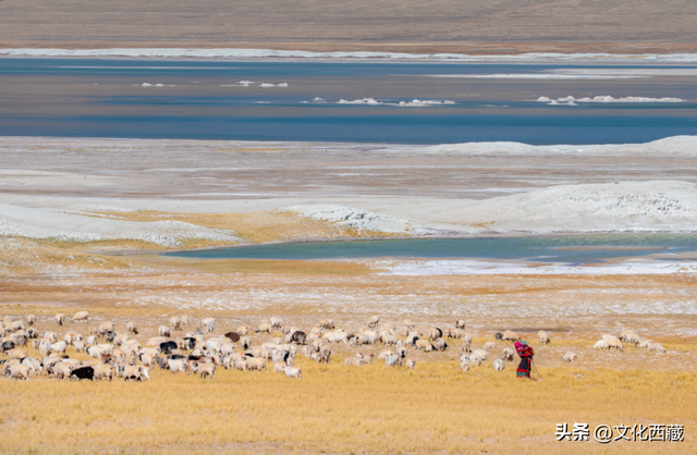 一文掌握西藏旅行！全景资源地图出炉，玩出新高度！
