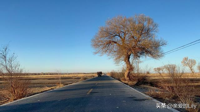 从深圳辞职回到广西，2025年一个人自驾去新疆，我越来越好了！