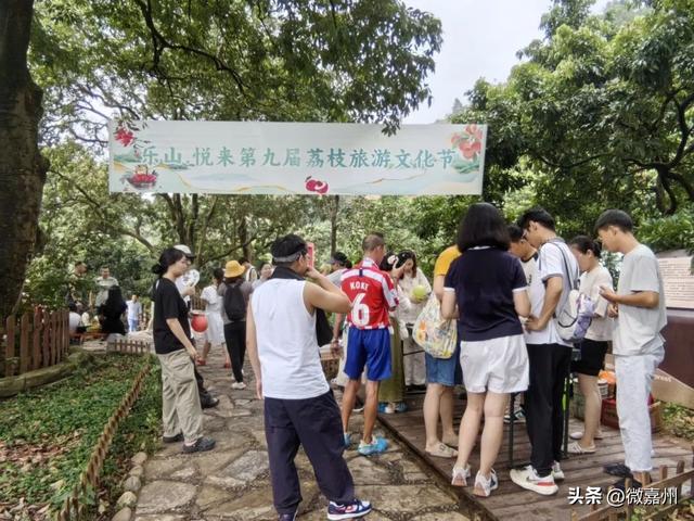 第九届荔枝旅游文化节甜蜜启幕！乐山悦来擦亮“中国最北荔枝”金字招牌
