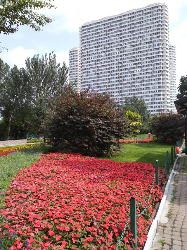说说哈尔滨市道里区地字片街区街路的纵横走向