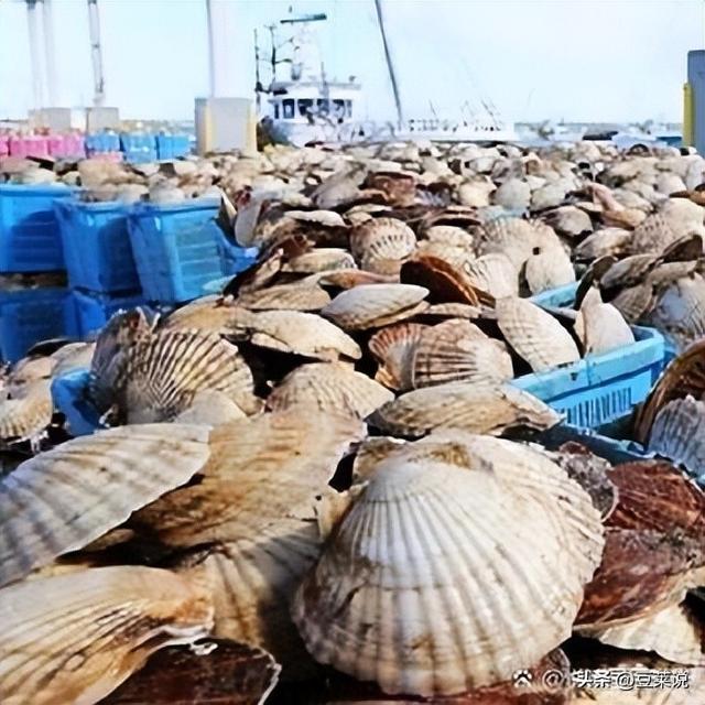 果然没出乎中国意料！刚通告全球对日全面制裁	，日本的反击就来了