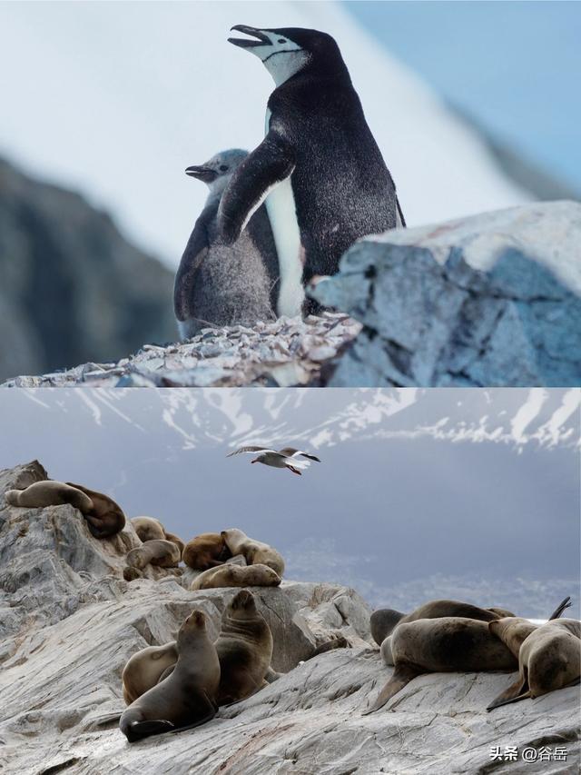 8岁+即可登陆，无可替代的亲子旅行