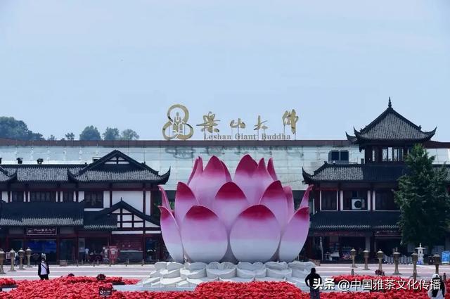 嘉州之秋：大佛与三江的秋日交响