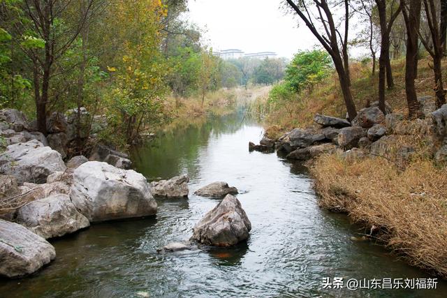 小丹河(老坝河水库西段)立冬那天的风光