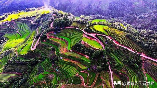 《西双版纳 澜沧行》左都佤山梯田云雾：天地间的水墨长卷