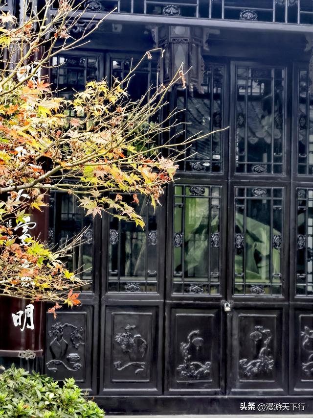 烟雨中重游瘦西湖，狂拍美景，整个人醉卧美景中