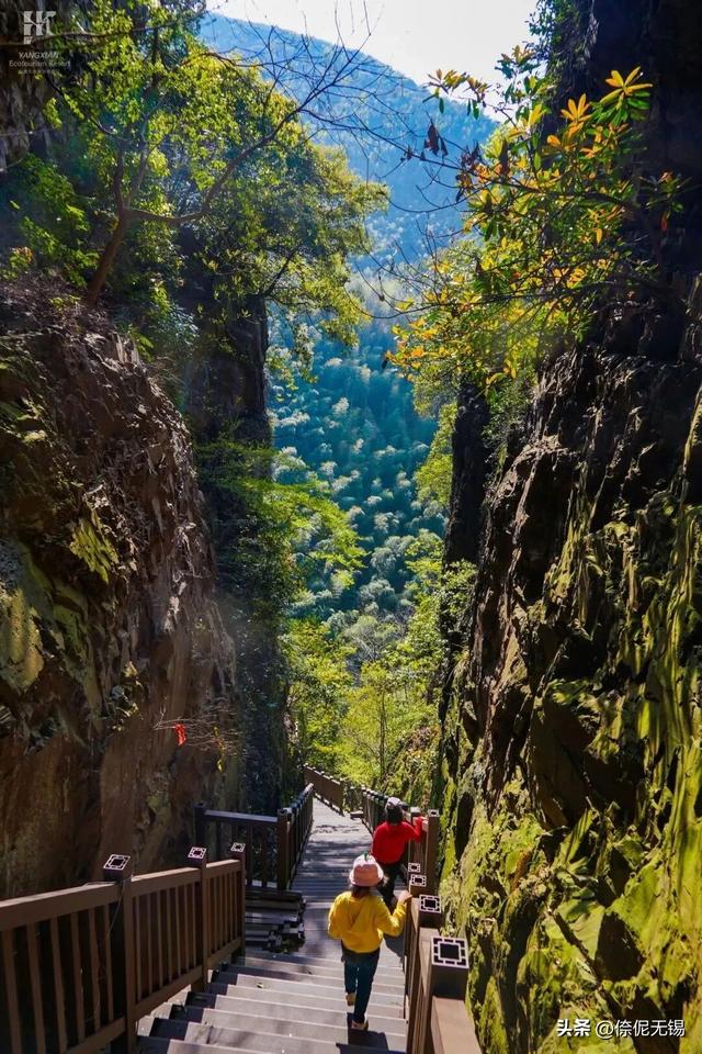 乾元村，彻底火了！