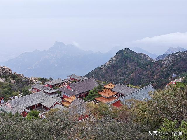 徒步登泰山之三——岱顶风光奇秀绝天下