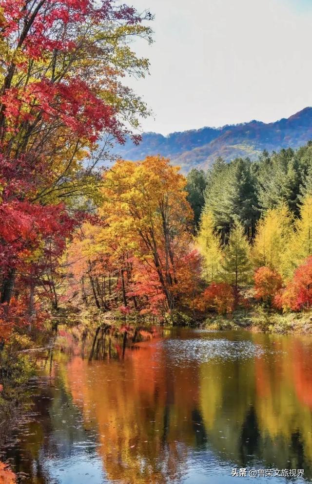 本溪：北国红枫深处的诗意秘境