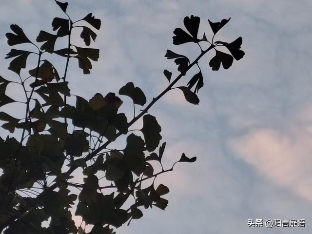 对孩子最好的教育，就是父母的言传身教.