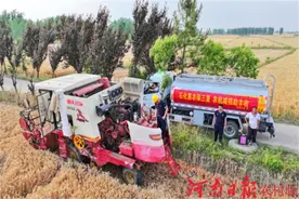 中石化信阳分公司：为夏粮颗粒归仓加油图片