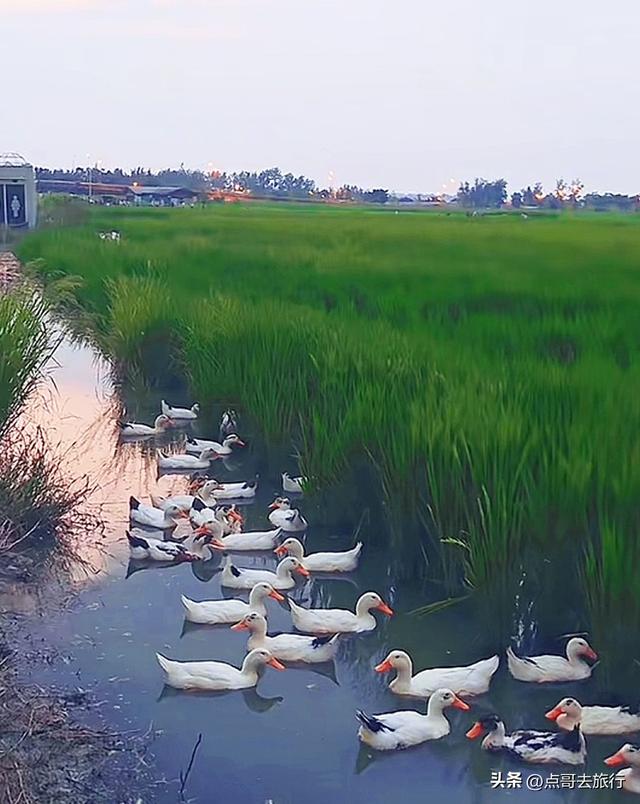 成都三元地铁又上新风景，超级惊艳，不要门票，地铁直达！