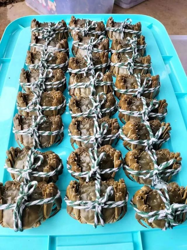 接下来的金堂，即将美成这样→