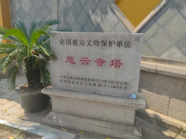 “准耄耋”生日震泽古镇一日游小记