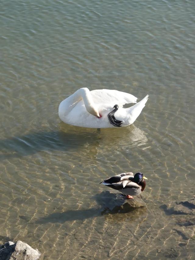 塞尔维亚，一座被轰炸过78天的城市的新生，贝尔格莱德一日游记